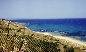 menfi_isole_296