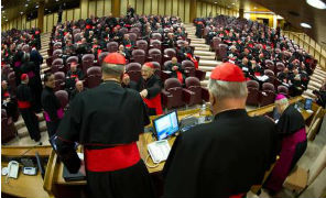 congregazioni_cardinali_732013_296